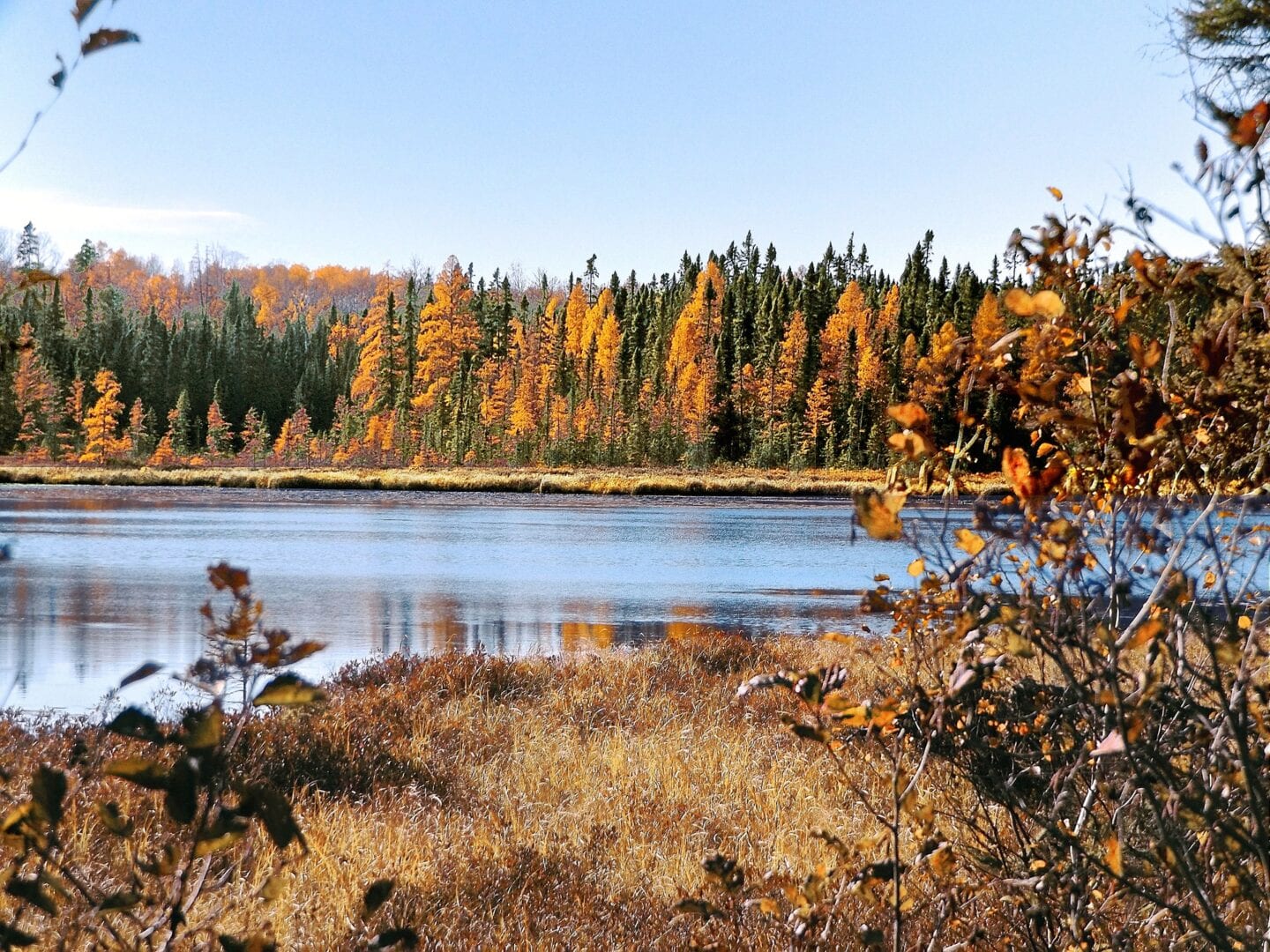 Viajes a Bemidji