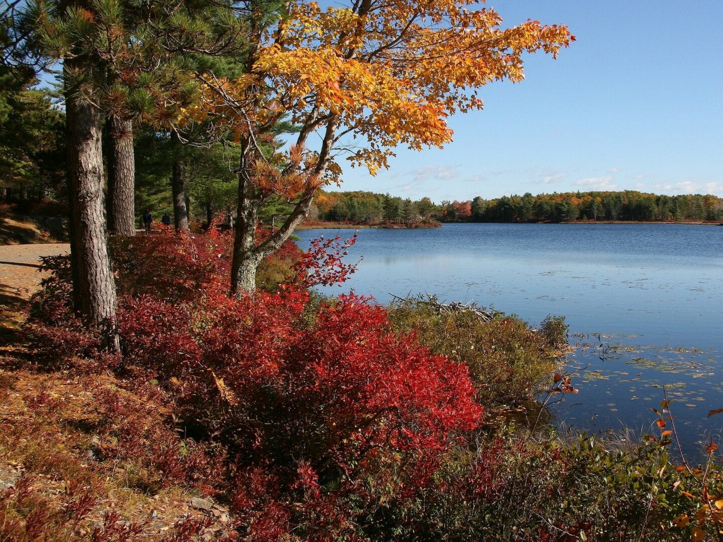 Viajes a Parque nacional Acadia, ME