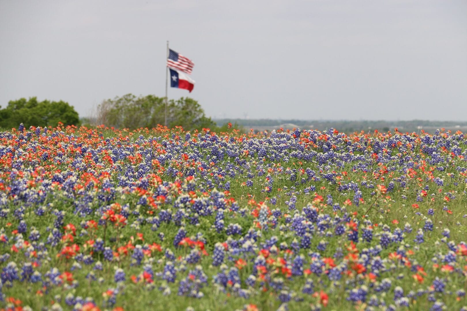 Viajes a Odessa,Texas