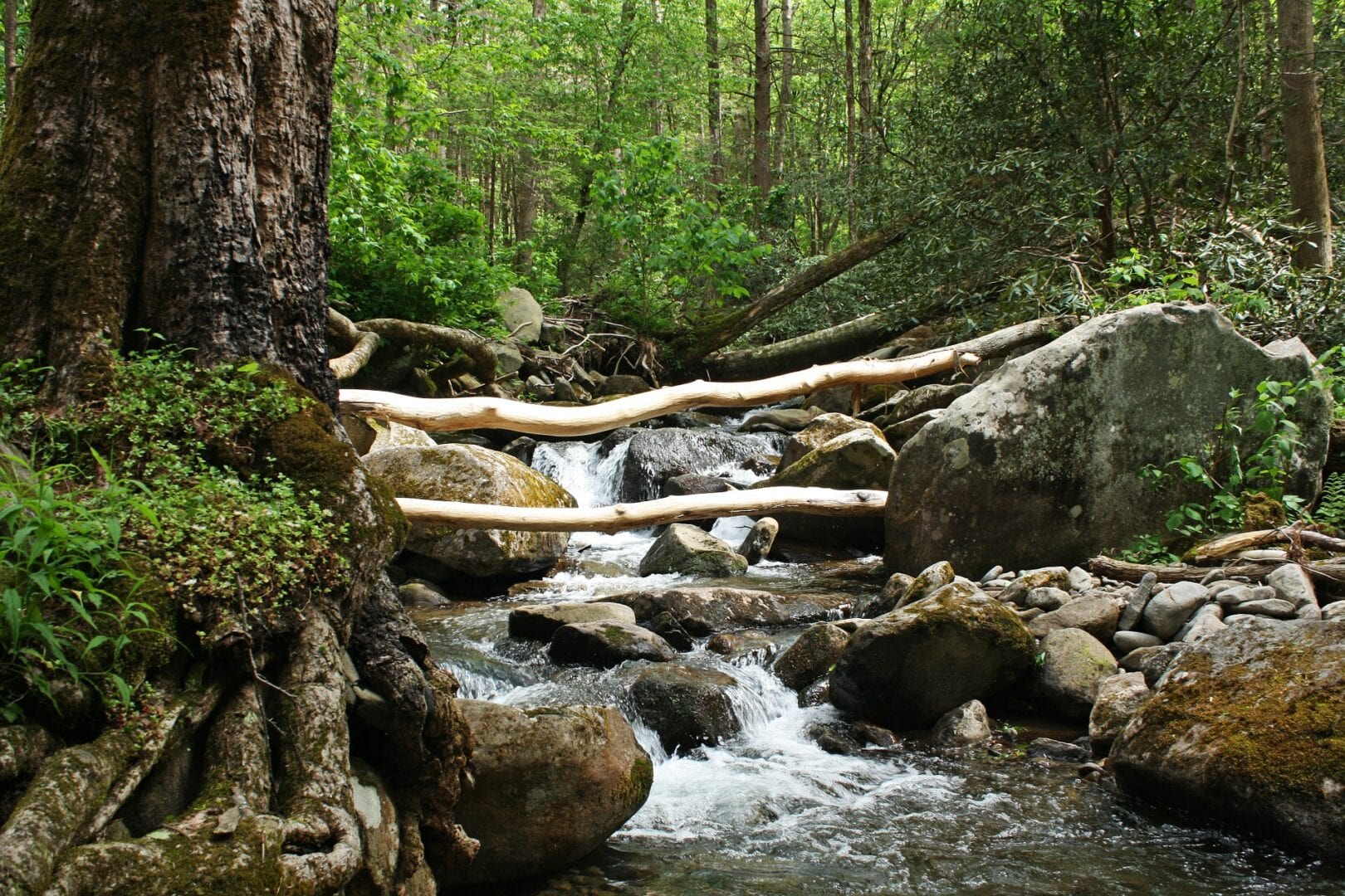 Viajes a Gatlingburg TN