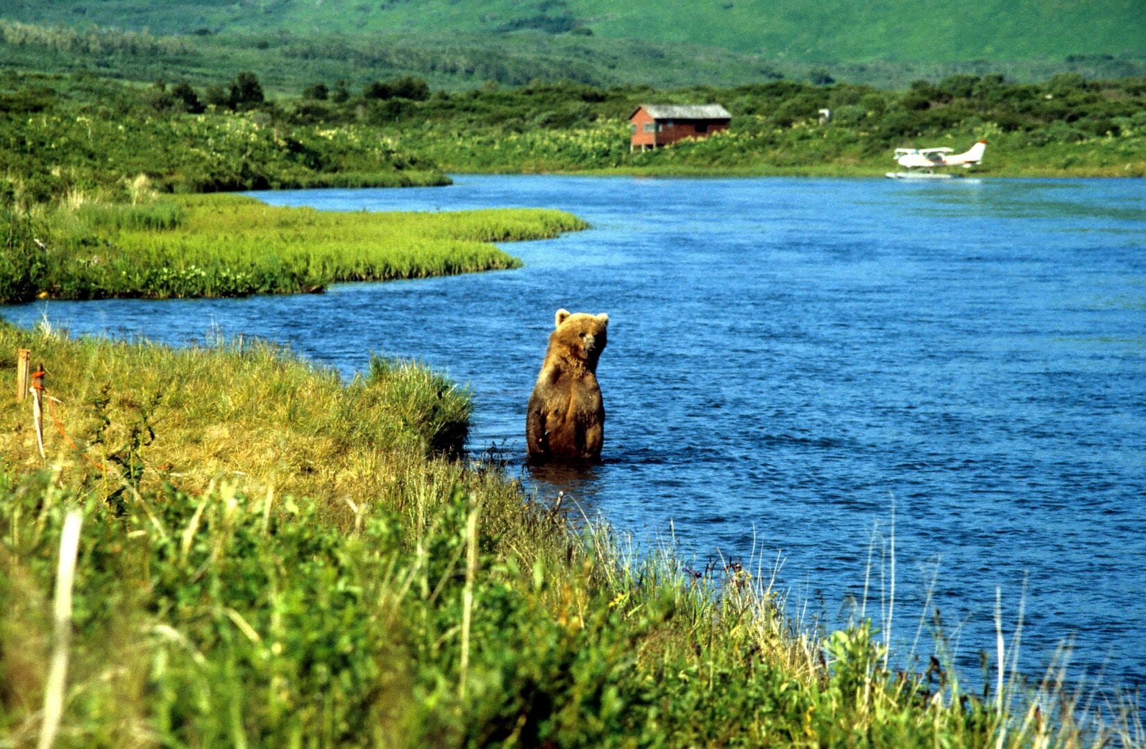 Viajes a Kodiak (Alaska)