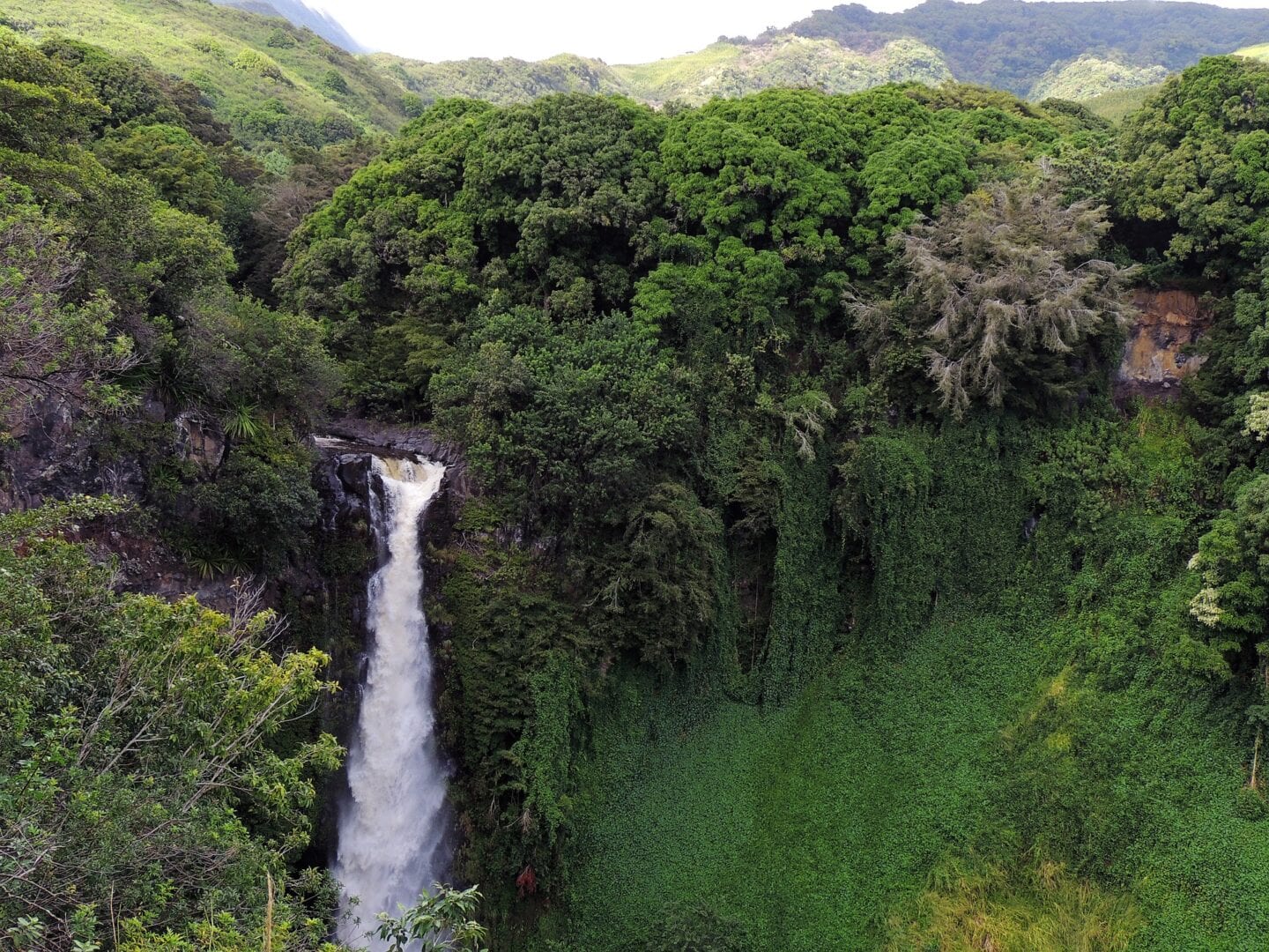 Viajes a Kahului HI