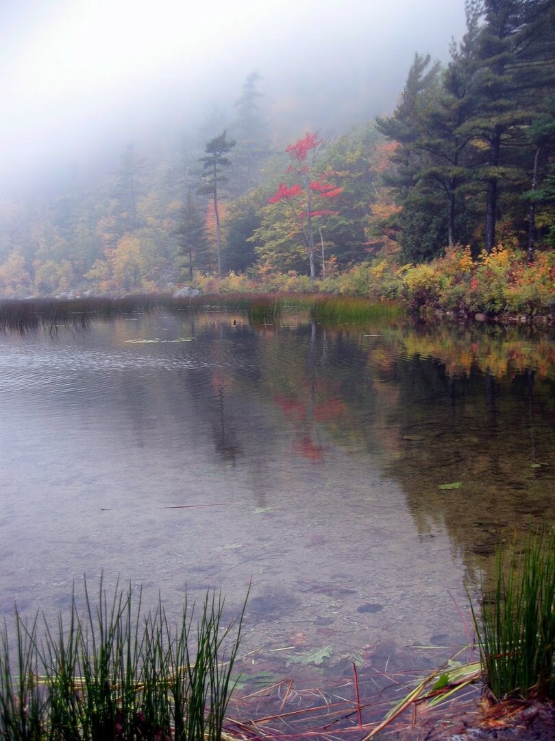 Viajes a Damariscotta ME