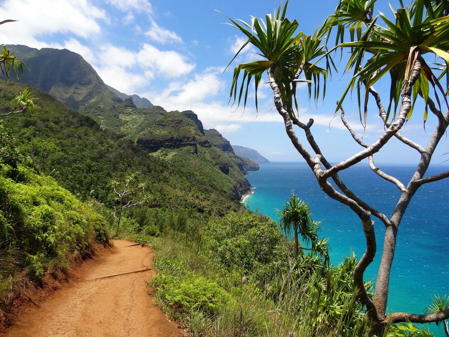 Viajes a La Isla Grande (Hawaii)