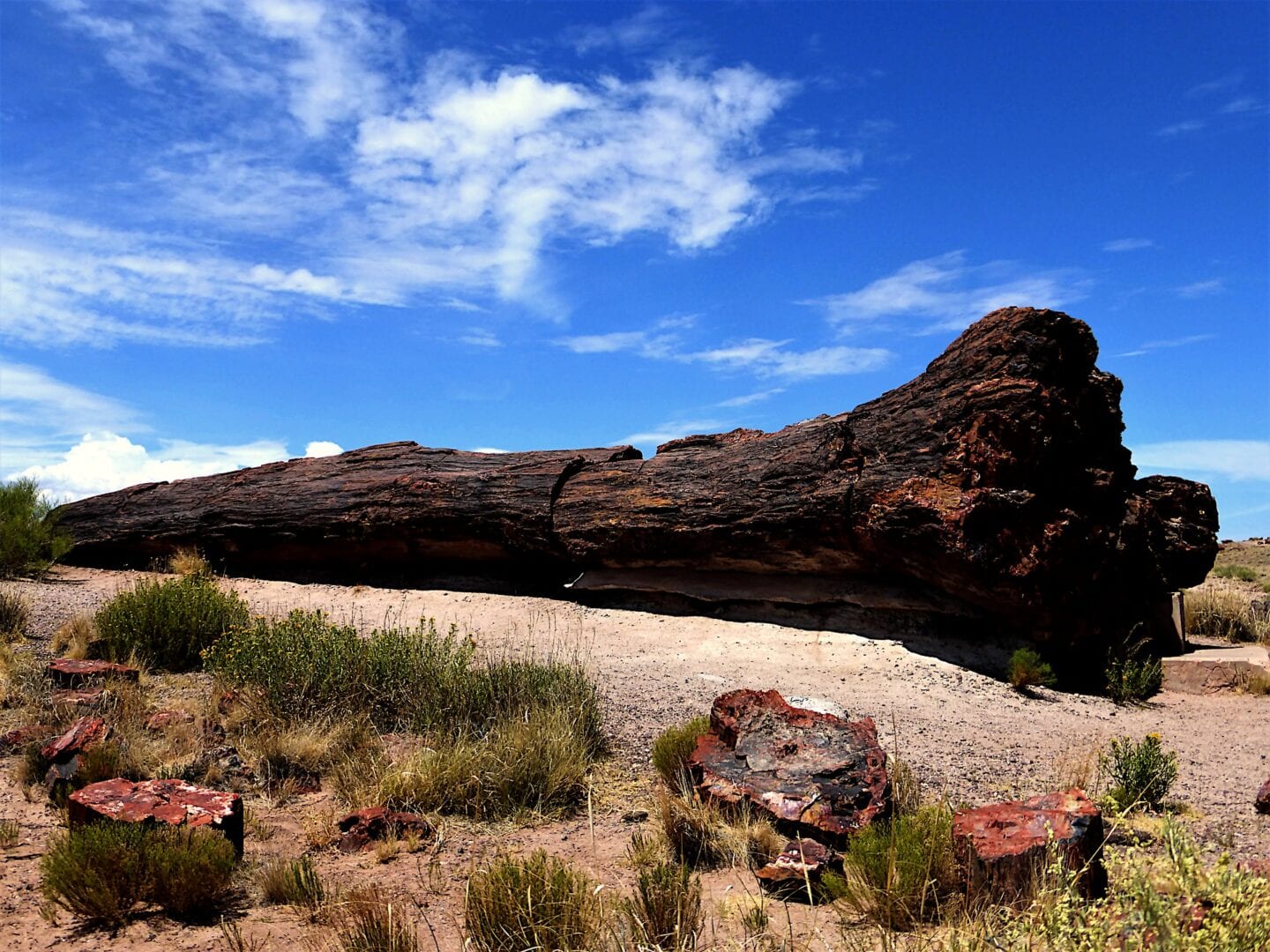 Viajes a Petrified Forest Parque Nacional AZ