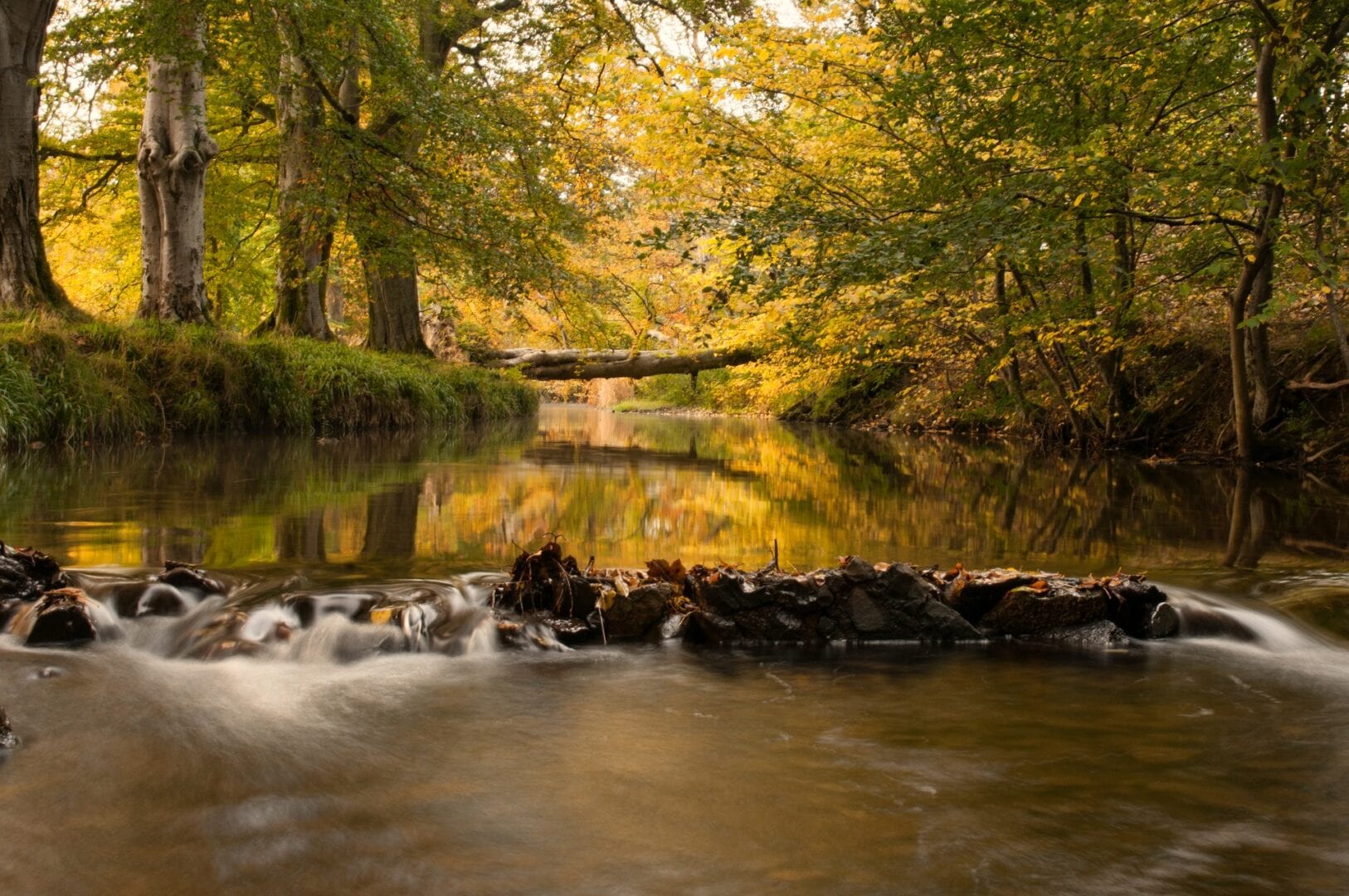 Viajes a Biggar