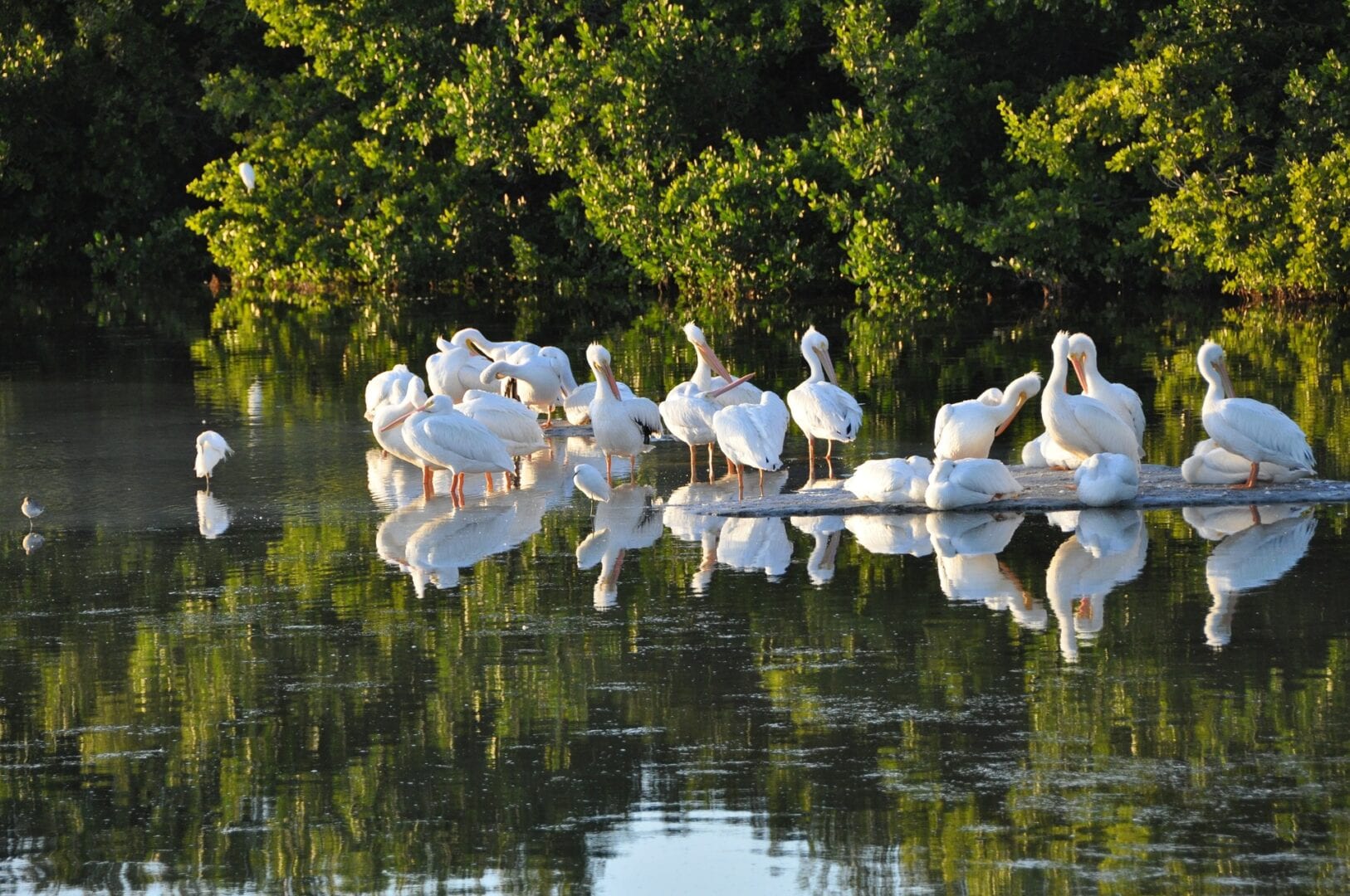 Viajes a Sanibel Island FL