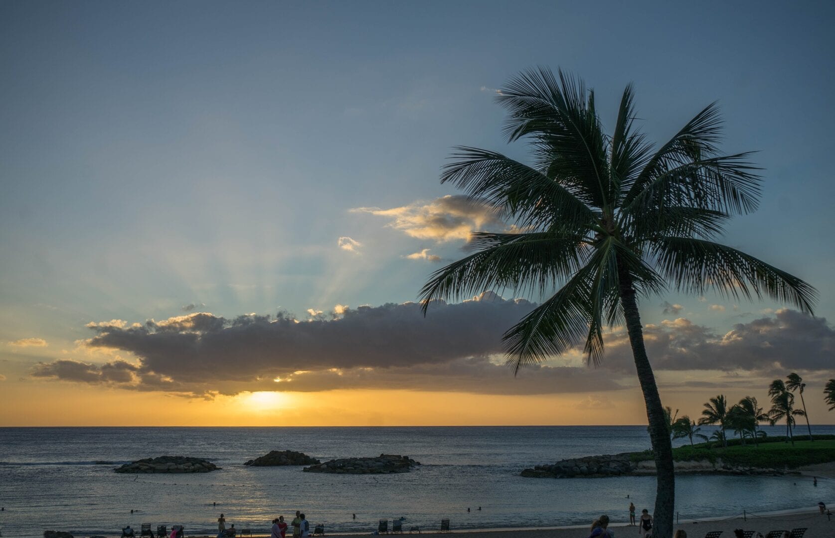 Viajes a Turtle Bay HI