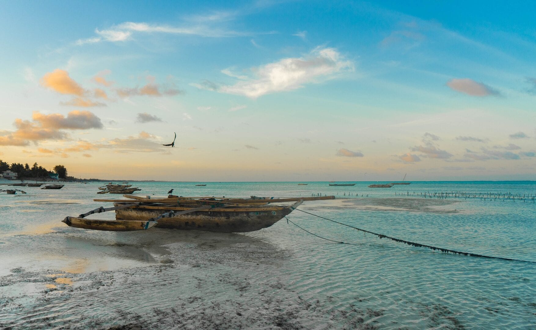 Viajes a Costa Este (Zanzibar)