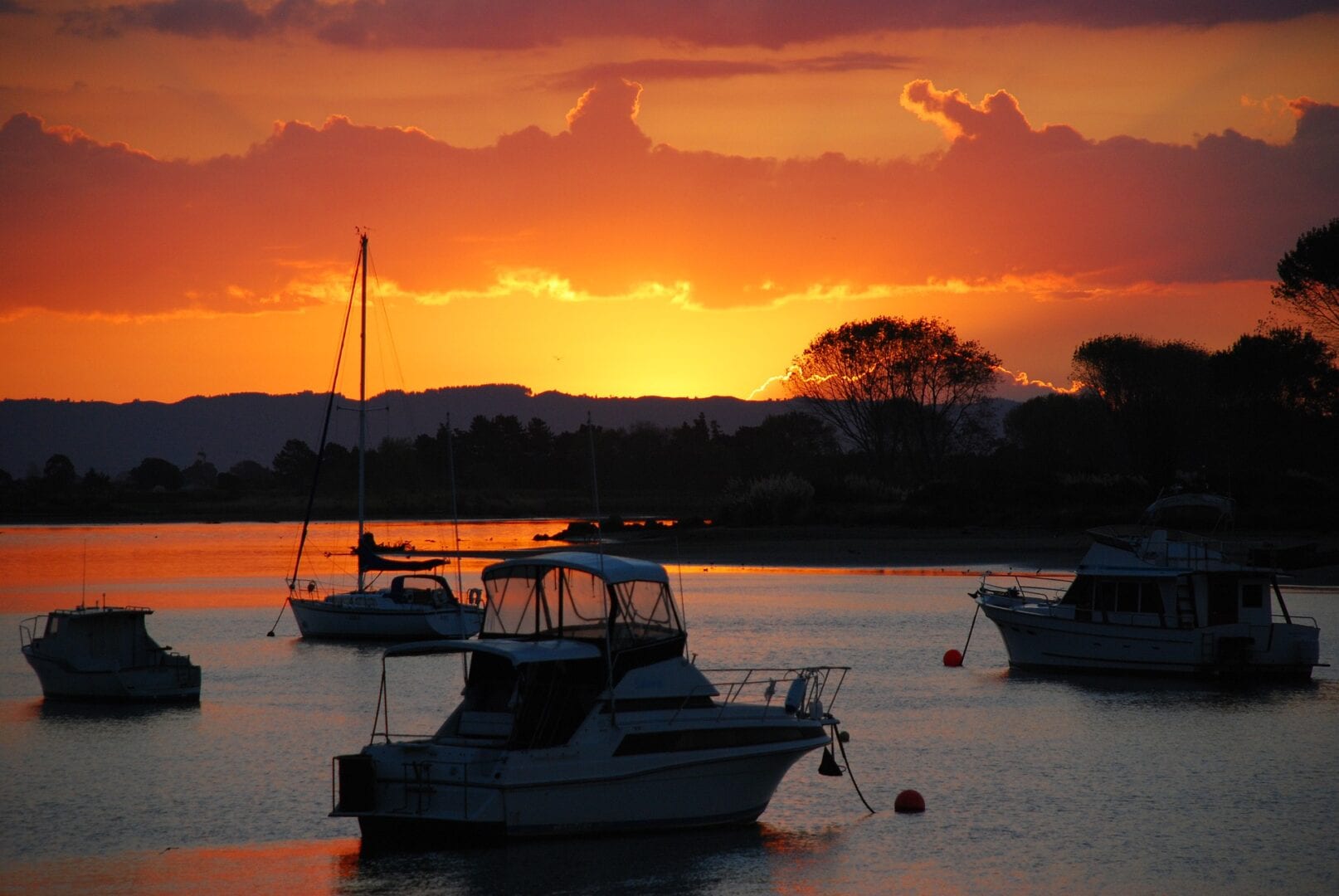 Viajes a Whakatane