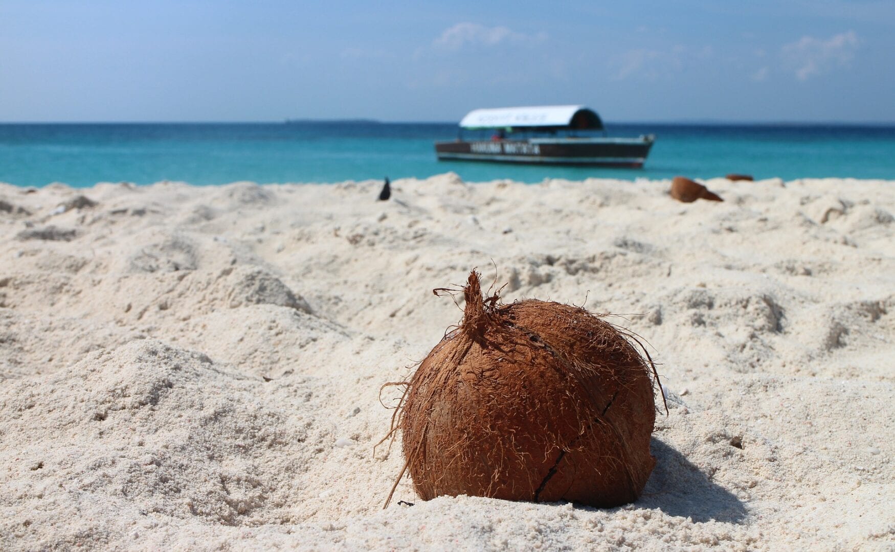 Viajes a Costa Norte (Zanzibar)