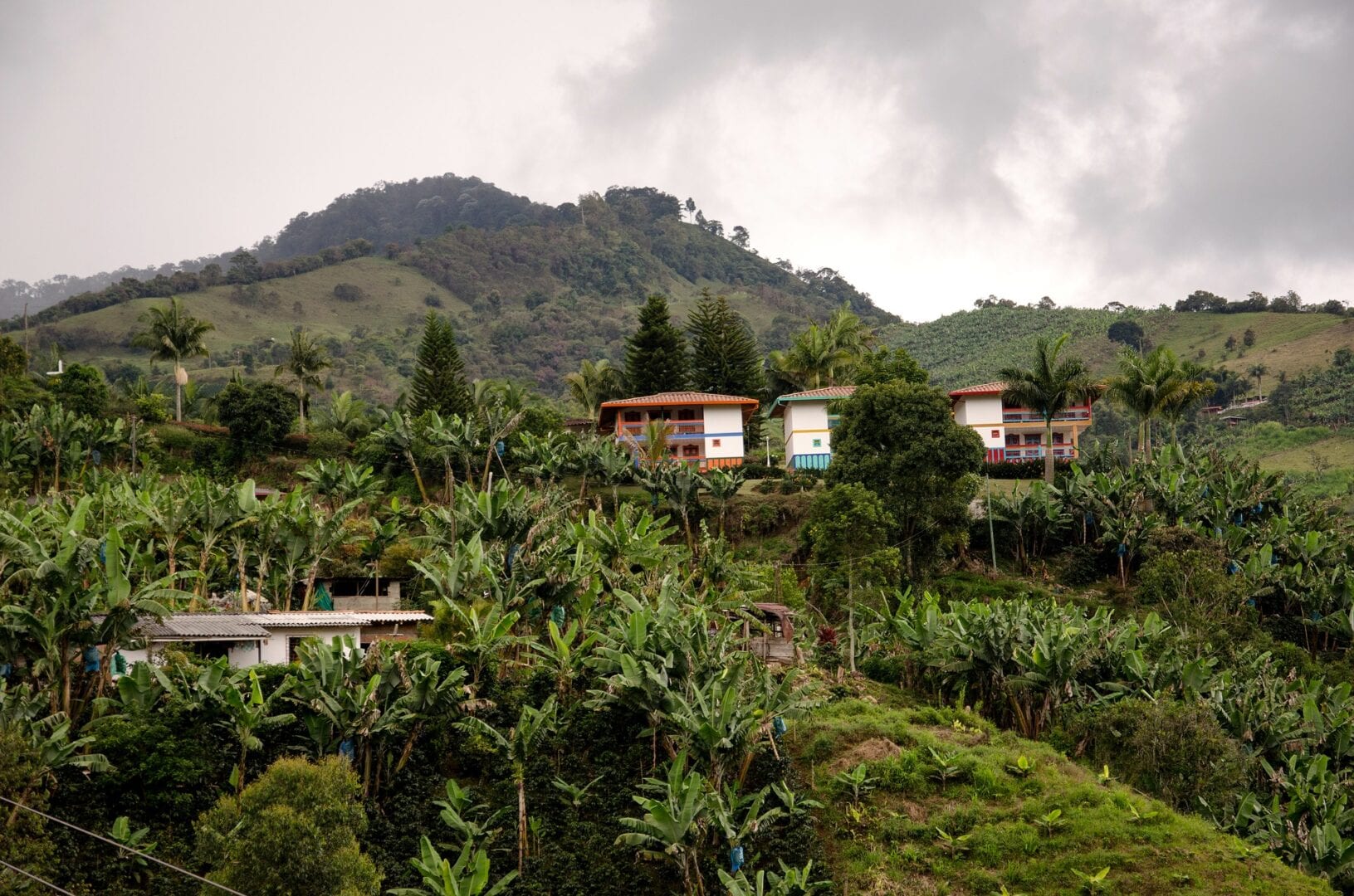 Viajes a Turbo (Antioquia)