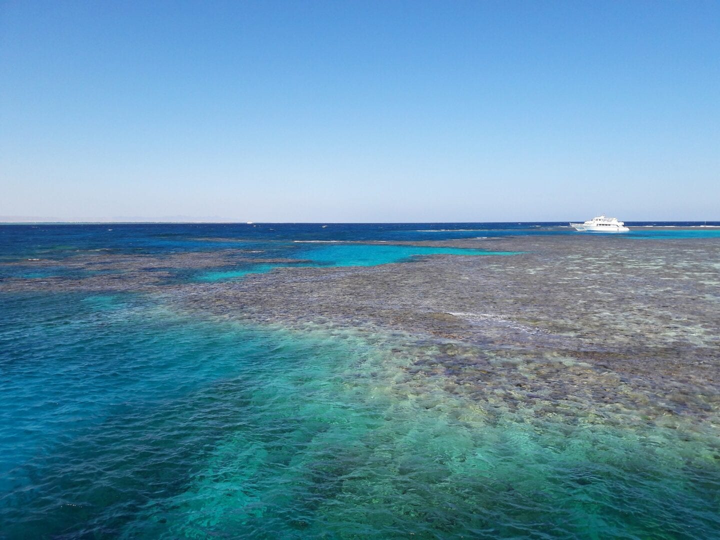 Viajes a Port Ghalib