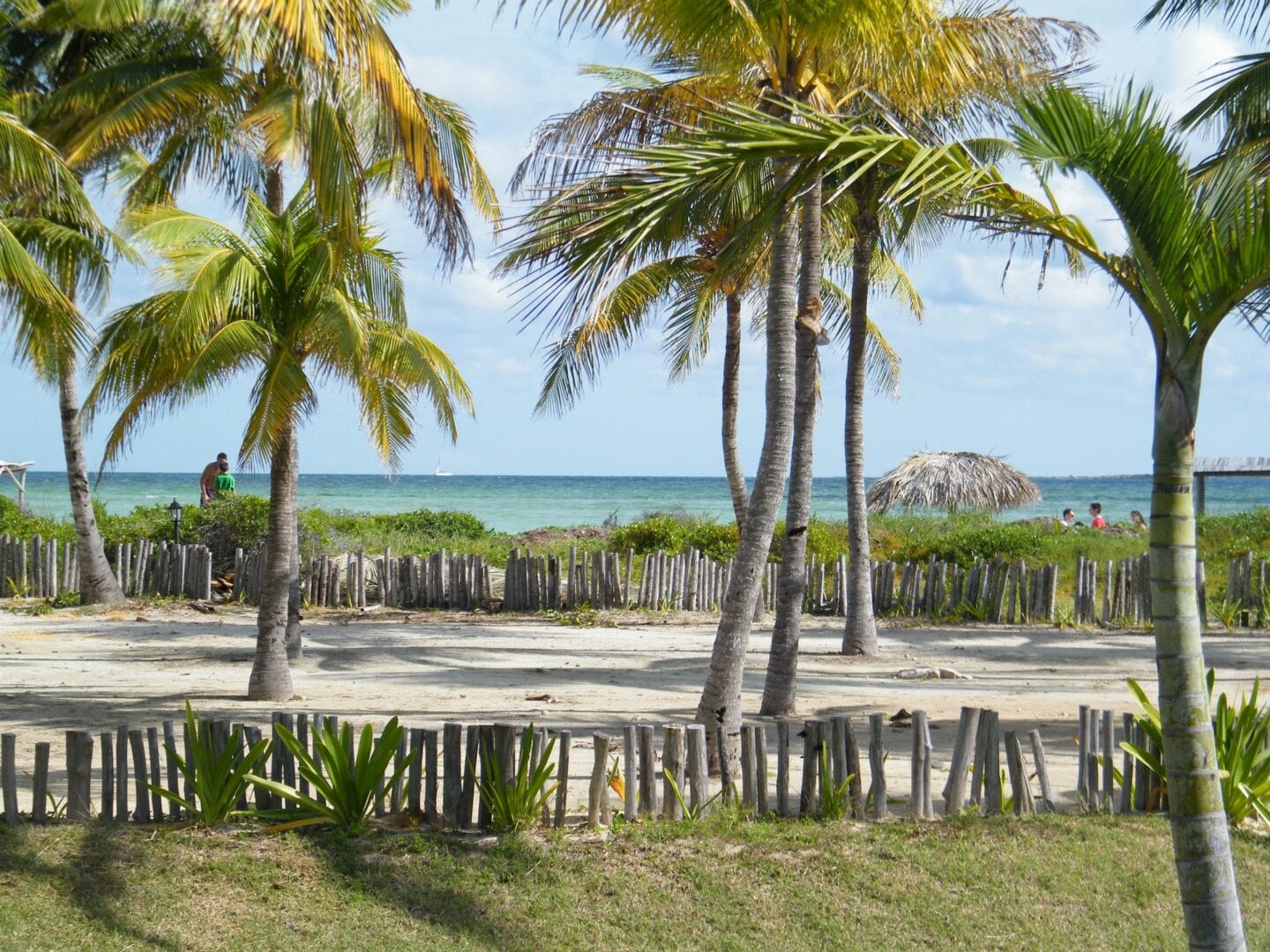 Viajes a Cayo Guillermo