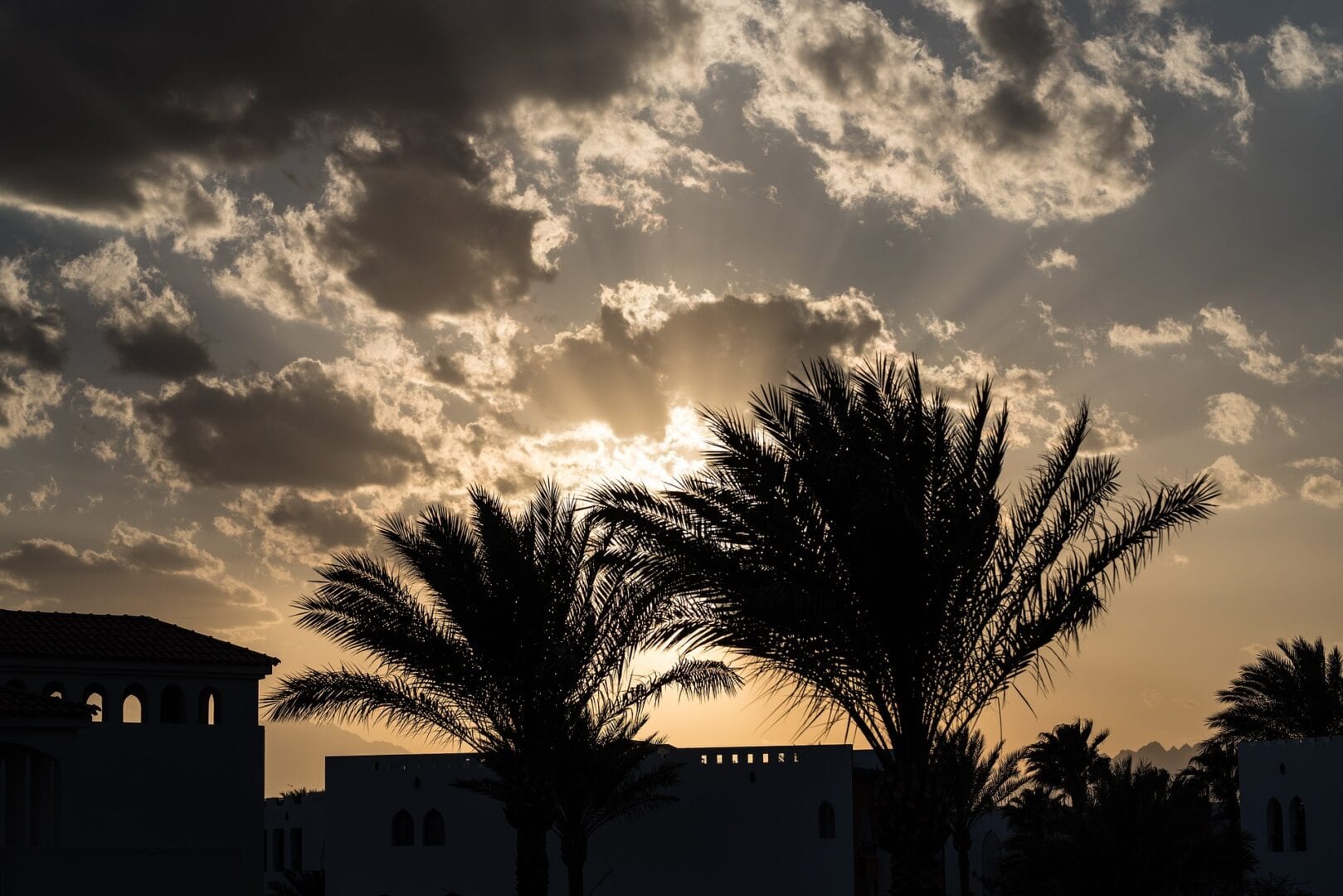 Viajes a Bahariya Oasis