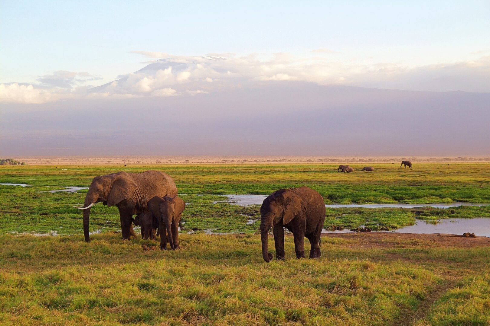 Viajes a Kilimanjaro