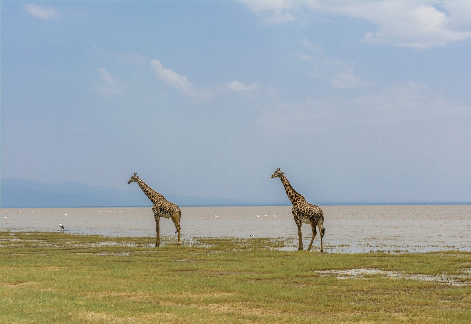 Viajes a Lago Manyara