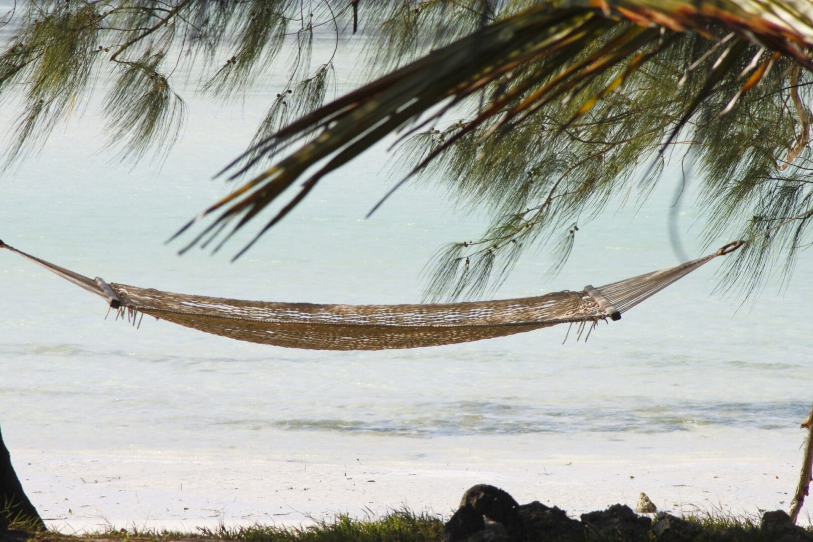 Viajes a Costa Sur (Zanzibar)