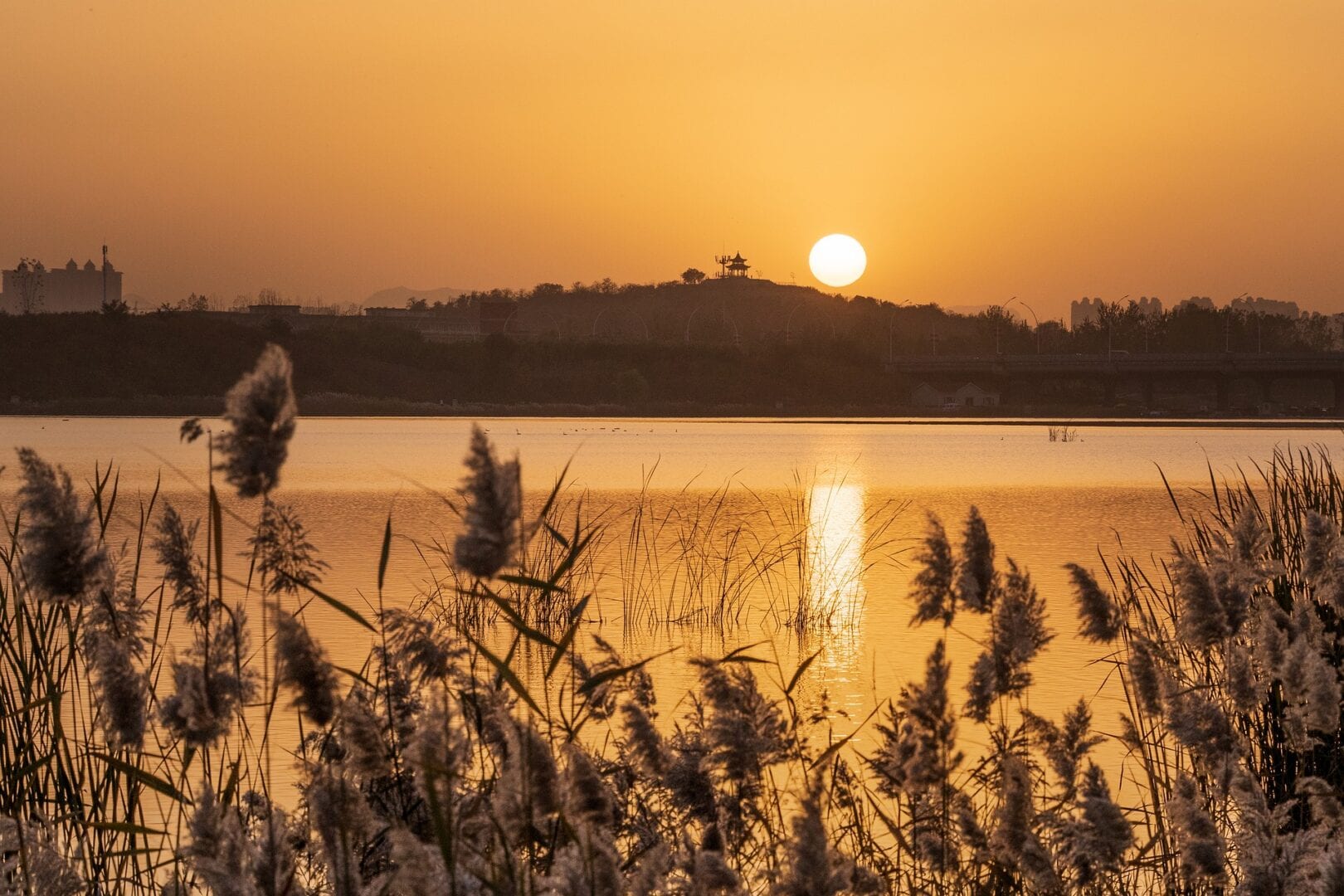 Viajes a Shijiazhuang