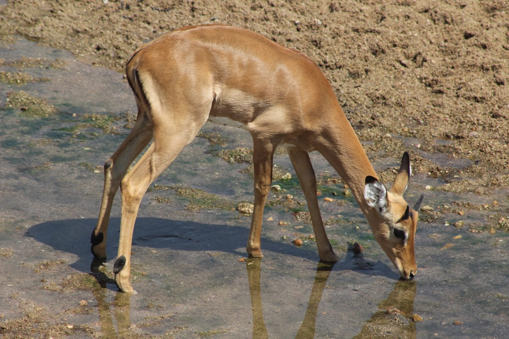 Viajes a Parque Nacional Ruaha