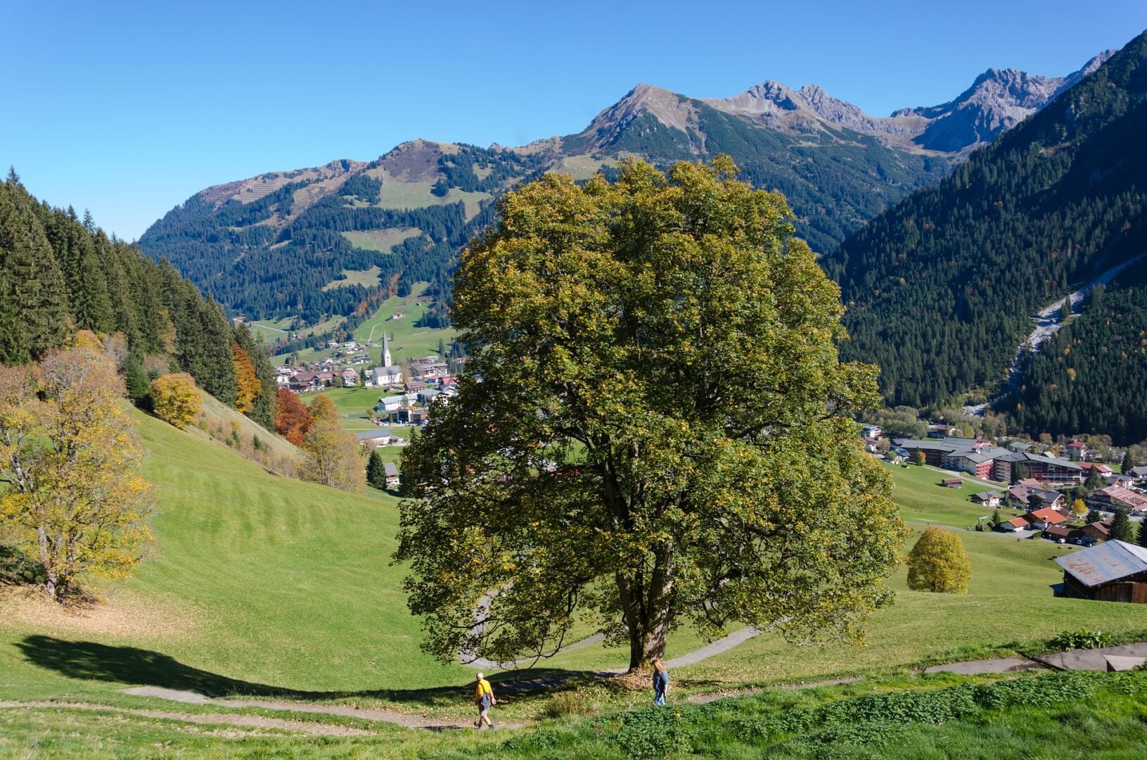 Viajes a Mittelberg