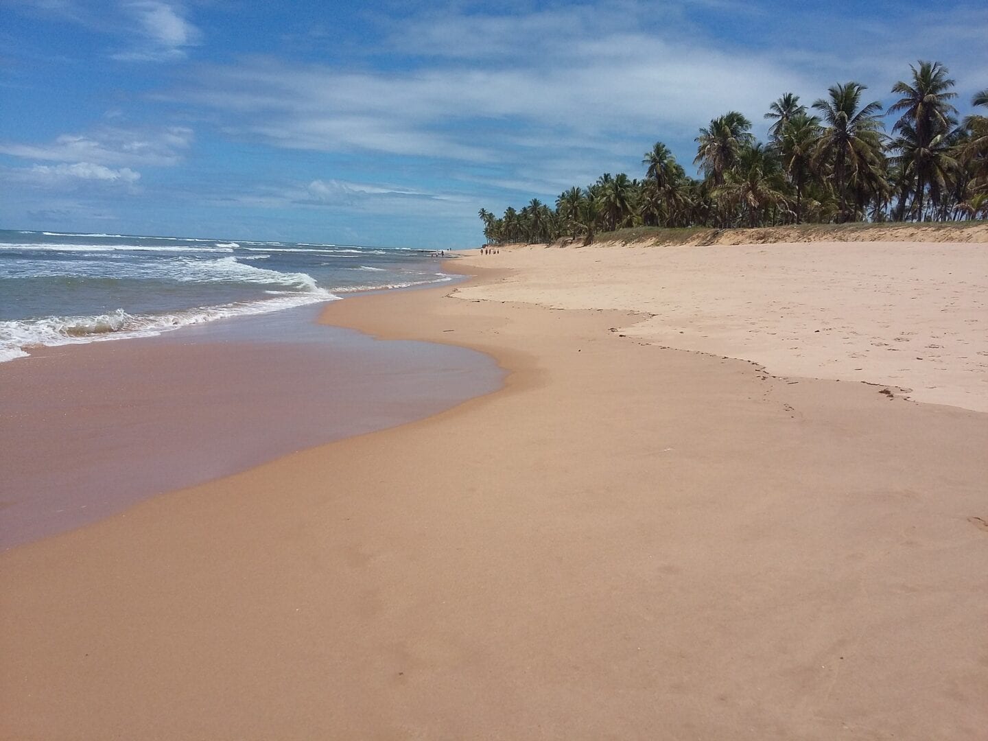 Viajes a Praia do Forte