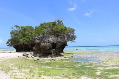 Isla de Pemba