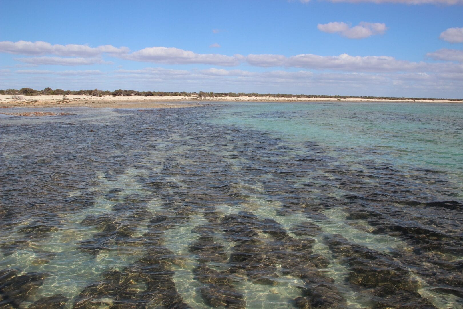 Viajes a Carnarvon