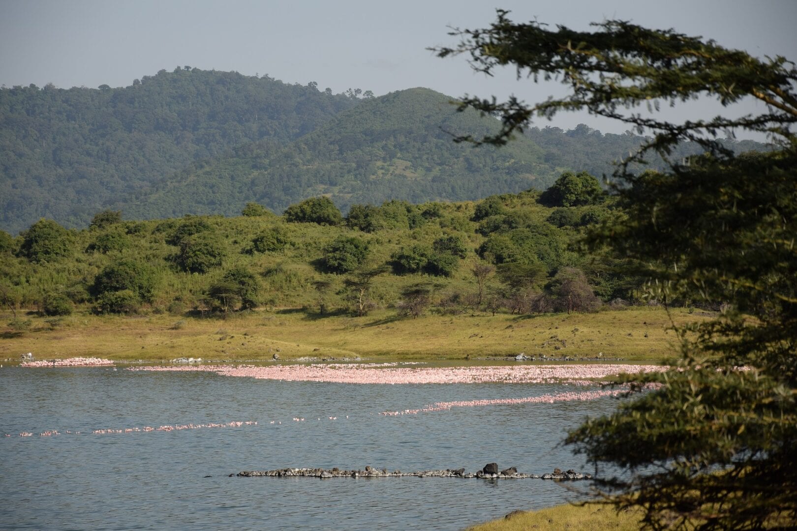 Viajes a Arusha