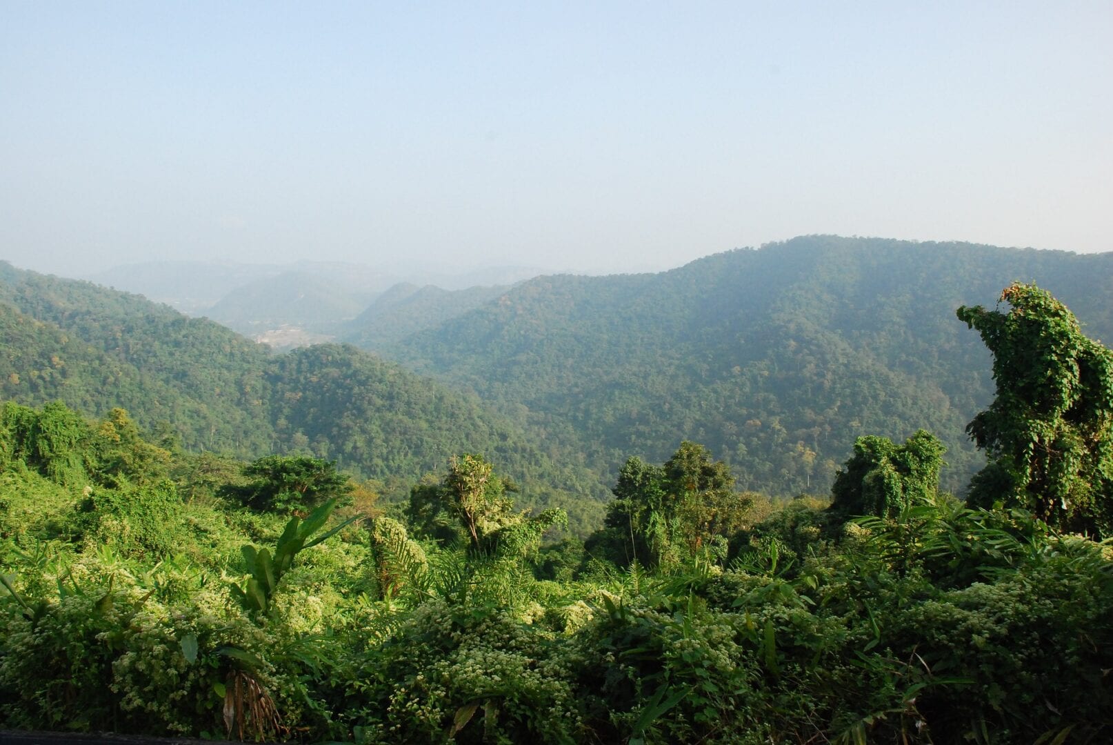 Viajes a Pak Chong (Khao Yai)