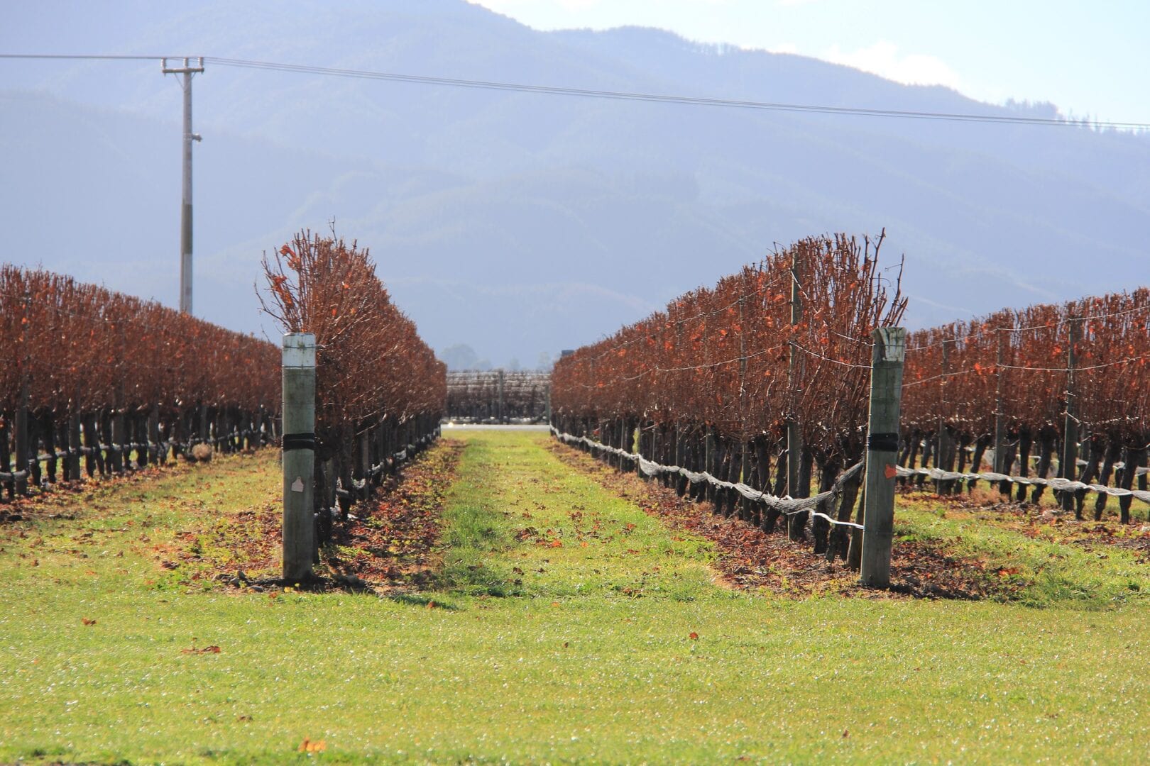 Viajes a Marlborough