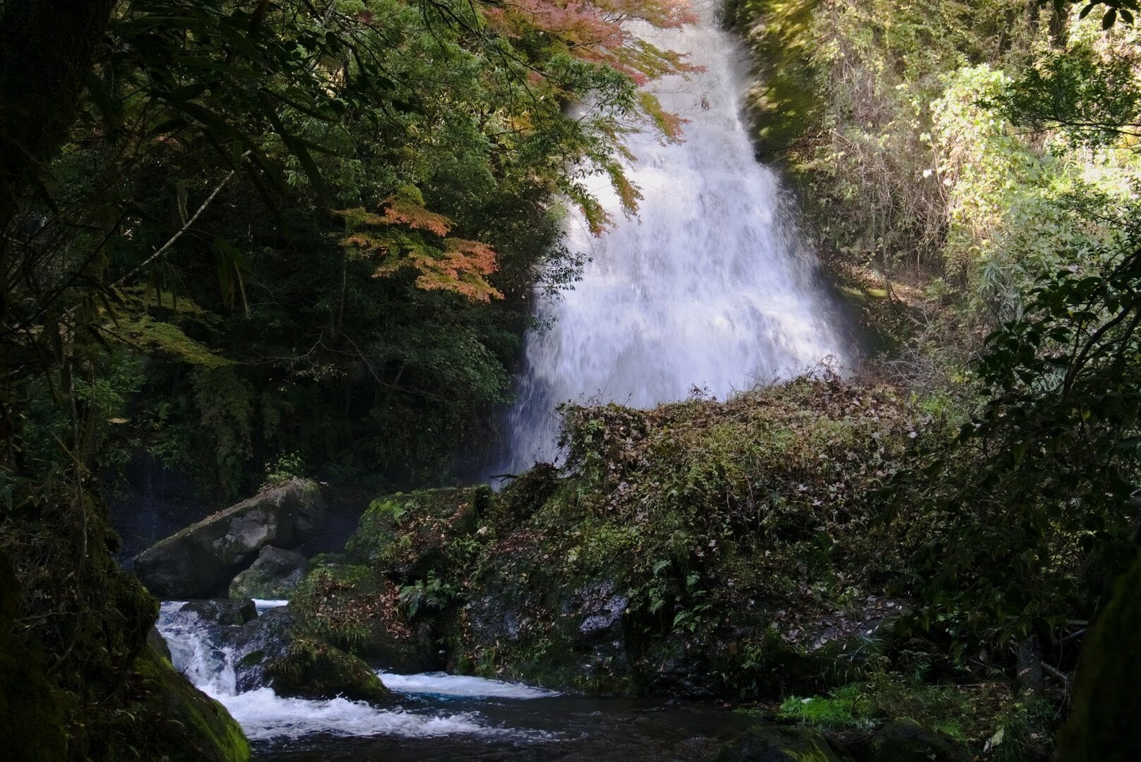 Viajes a Taketa