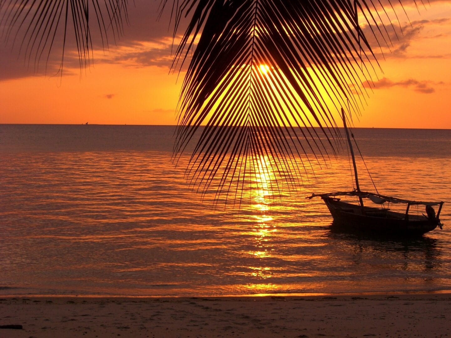 Viajes a Costa Oeste (Zanzibar)