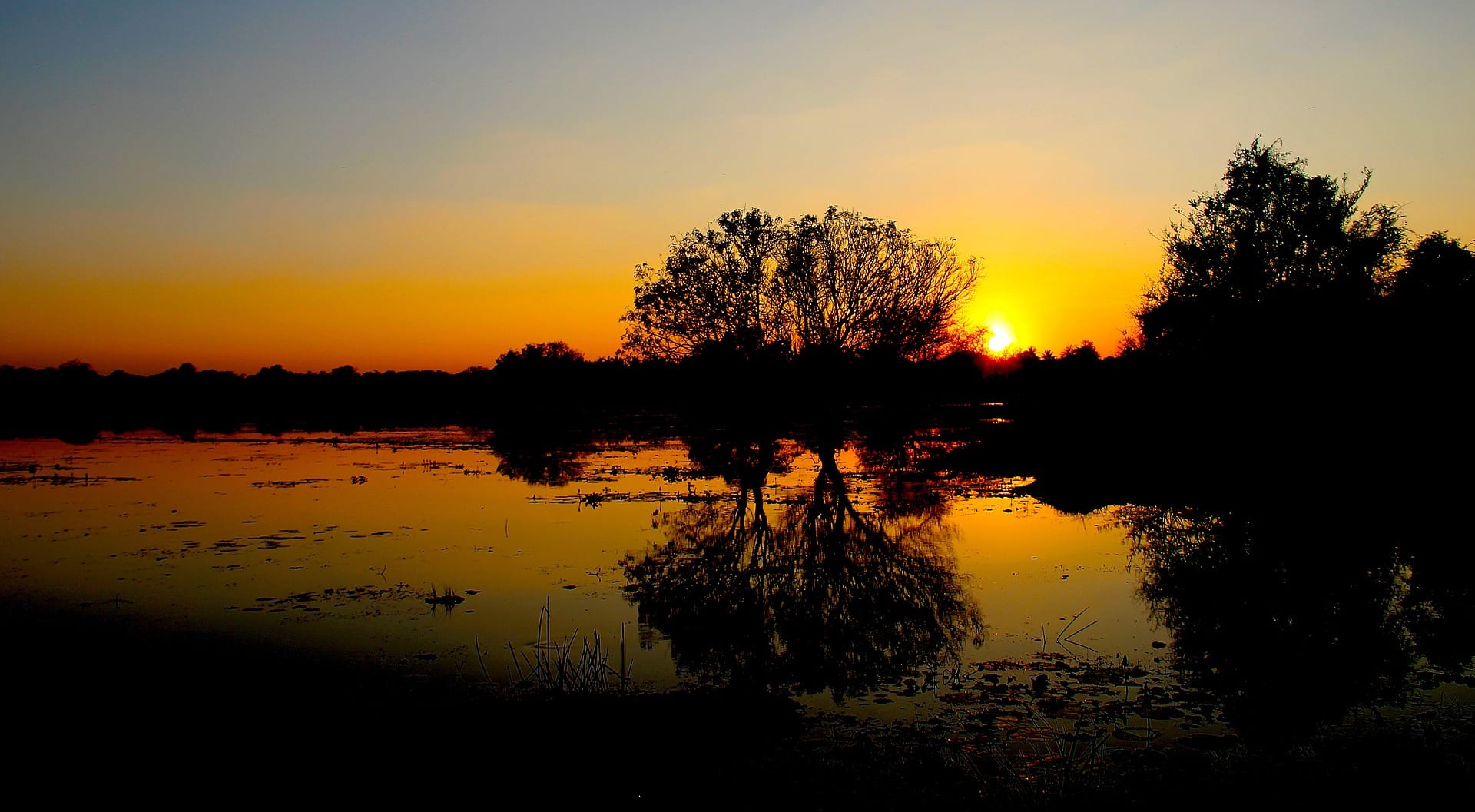 Viajes a Anuradhapura