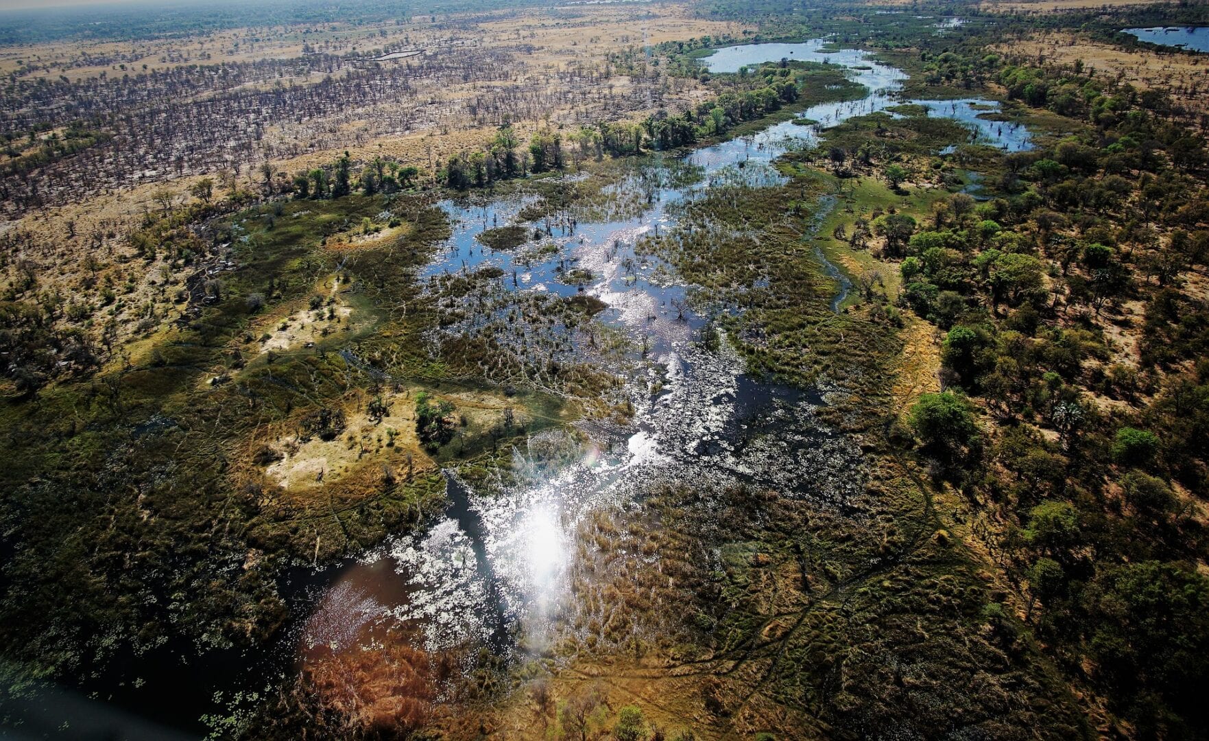 Viajes a Maun