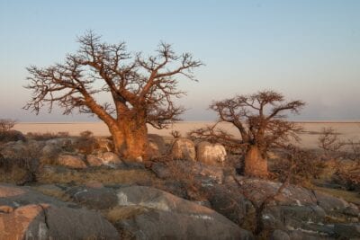 Parque nacional de Nxai Pan