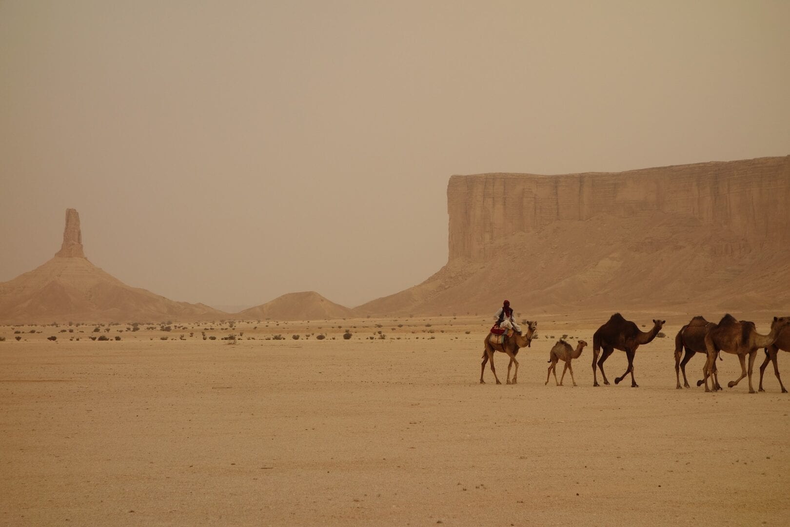 Viajes a Tabuk