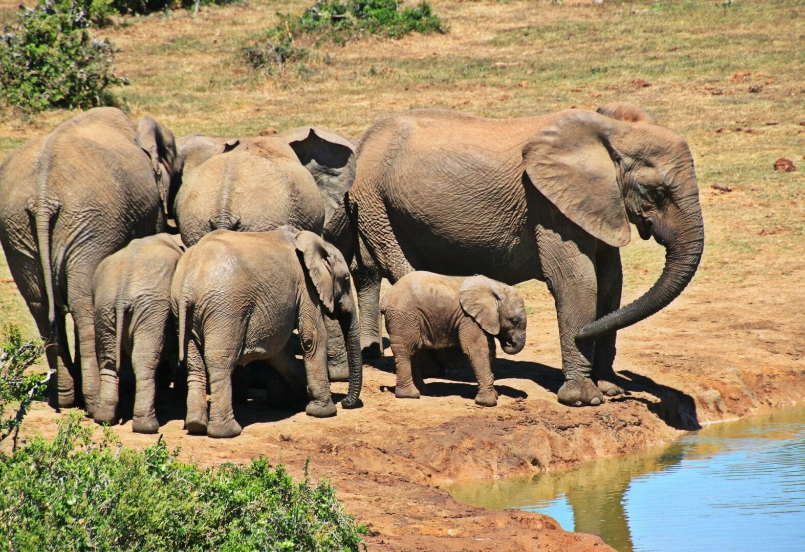 Viajes a Parque Nacional de Kruger
