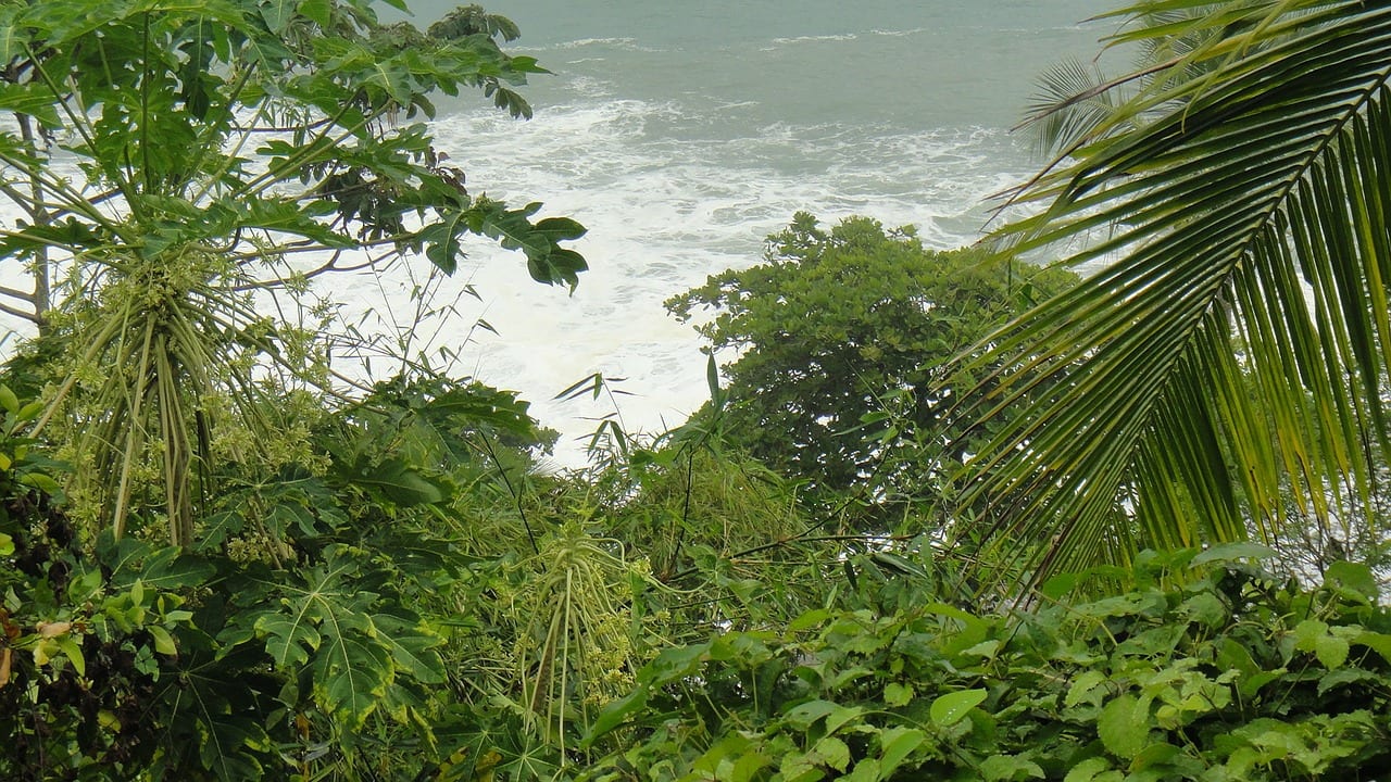 Viajes a Puerto Viejo De Talamanca