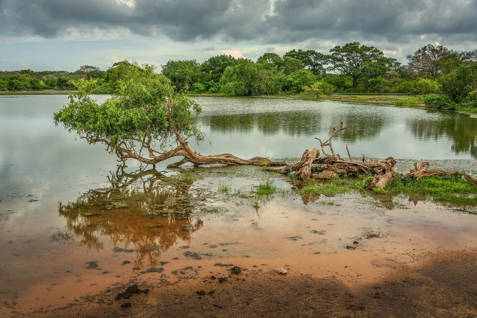 Viajes a Yala National Park