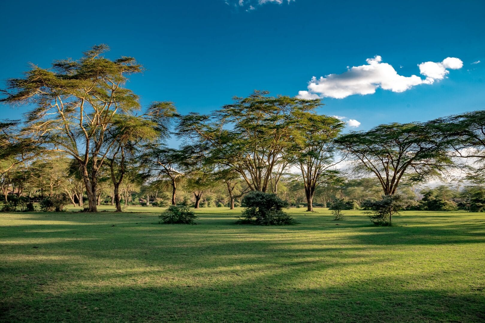 Viajes a Naivasha