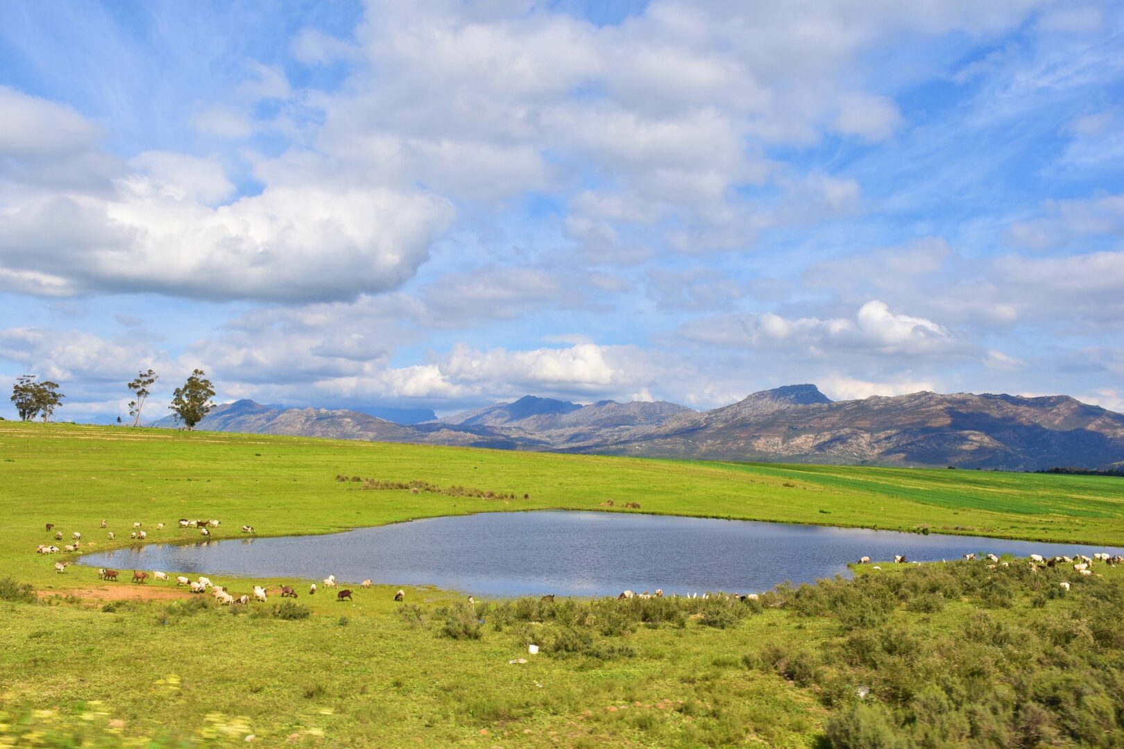 Viajes a Tulbagh