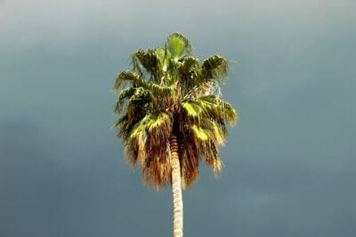 Isla Mala Pascua