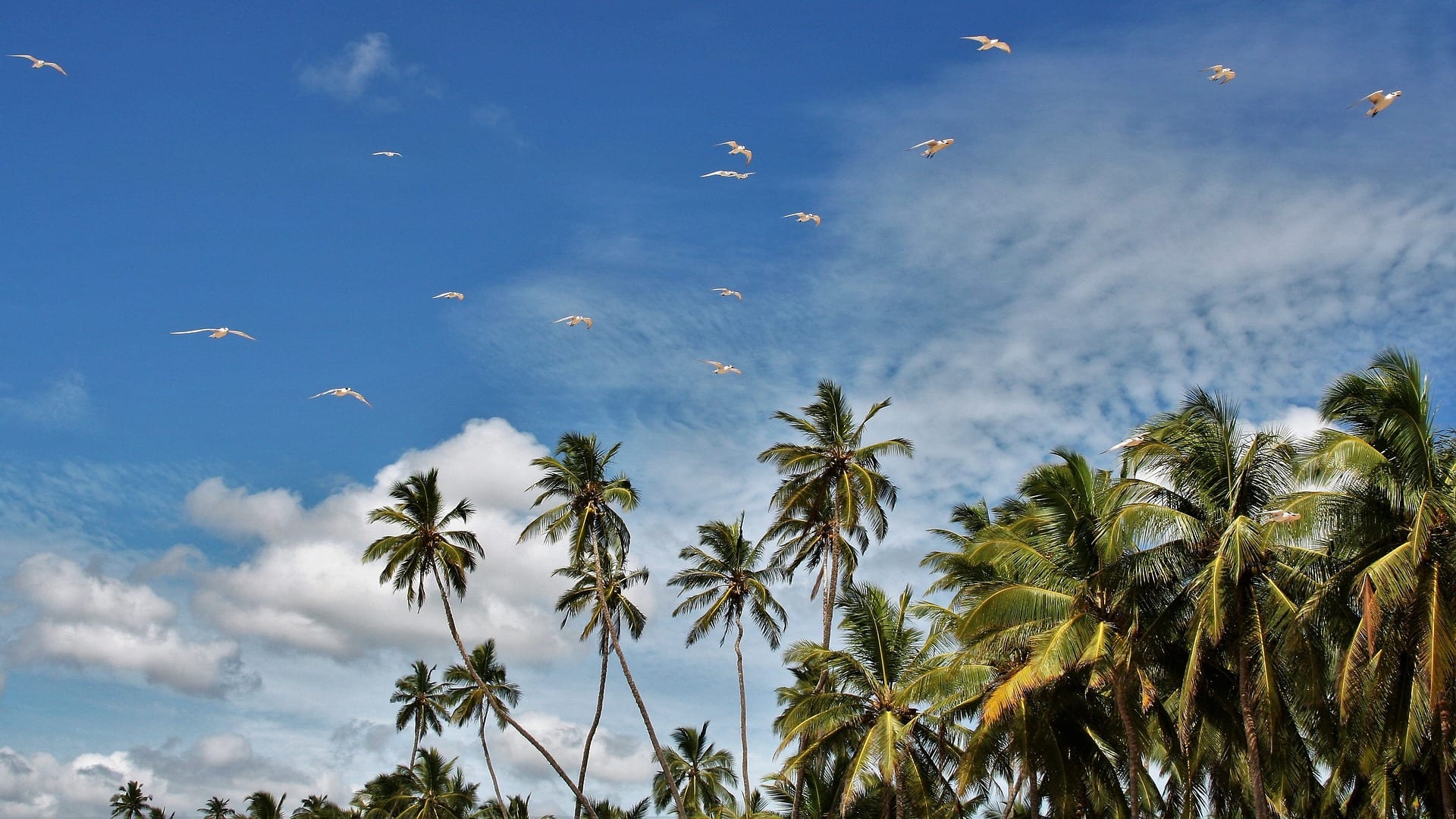 Viajes a Hambantota