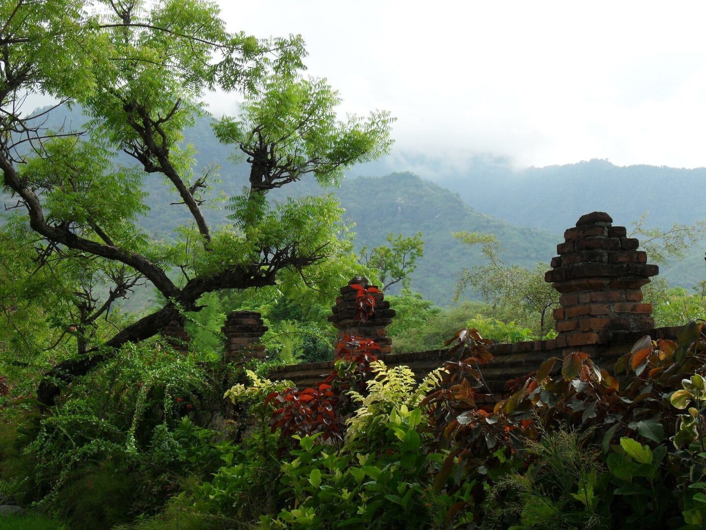 Viajes a Pemuteran, Bali