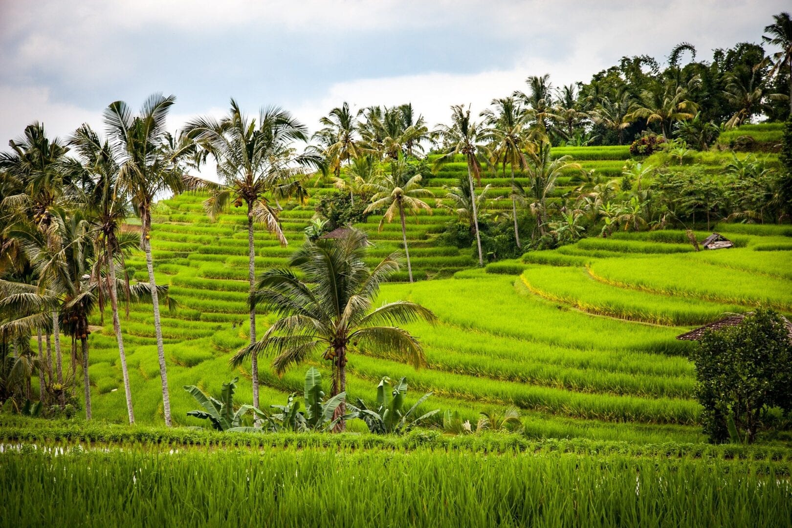 Viajes a Tuban, Bali