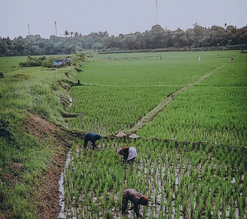 Viajes a Bekasi