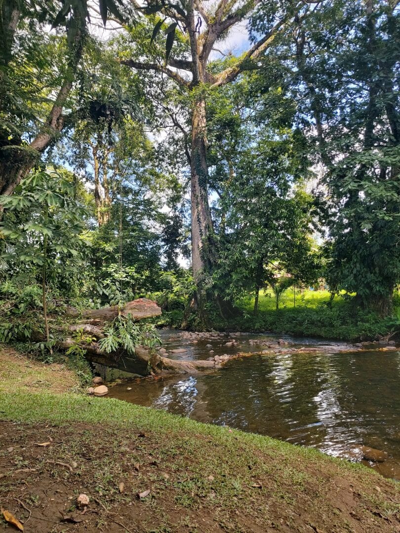 Viajes a Puerto Viejo Sarapiqui