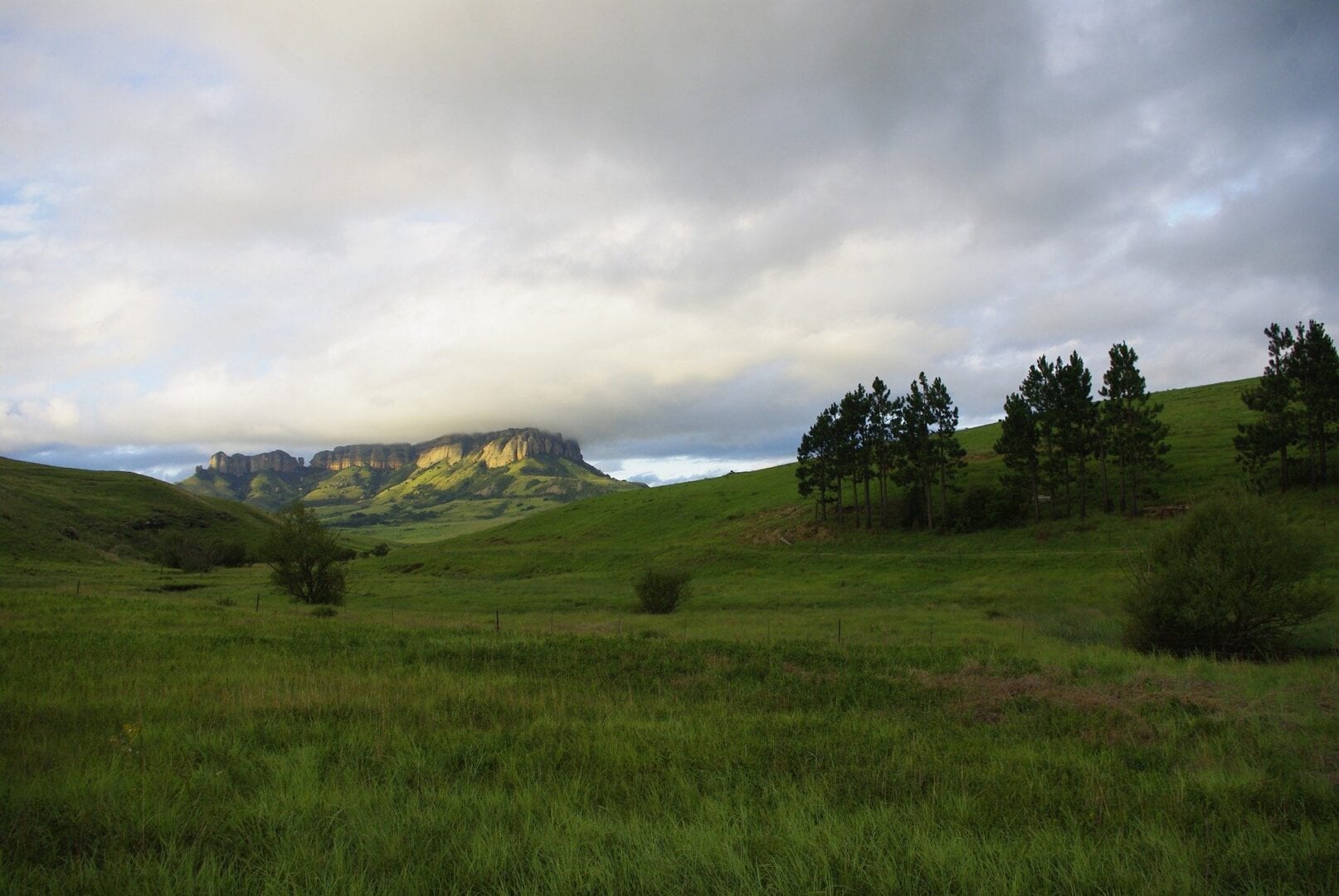 Viajes a Harrismith