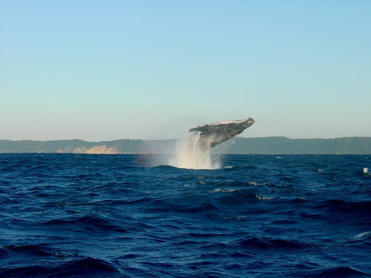 Viajes a Richards Bay